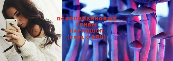 PSILOCYBIN Горнозаводск