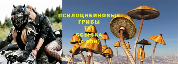 jwh Горняк