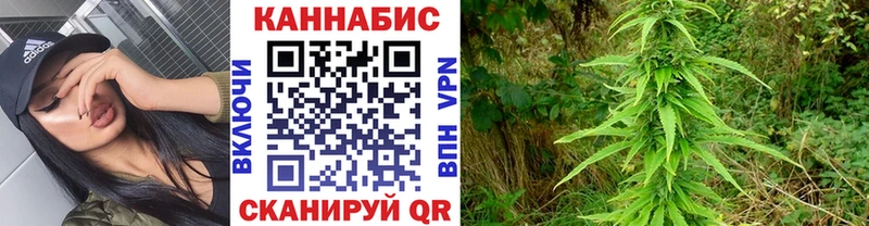 Конопля Amnesia  Духовщина 